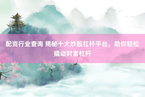 配资行业查询 揭秘十大炒股杠杆平台，助你轻松撬动财富杠杆