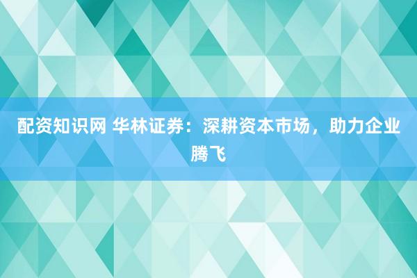 配资知识网 华林证券：深耕资本市场，助力企业腾飞