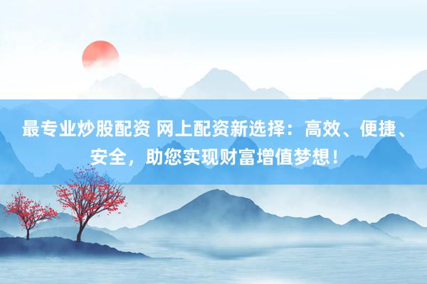 最专业炒股配资 网上配资新选择：高效、便捷、安全，助您实现财富增值梦想！