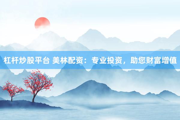 杠杆炒股平台 美林配资：专业投资，助您财富增值