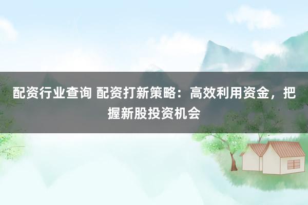 配资行业查询 配资打新策略：高效利用资金，把握新股投资机会