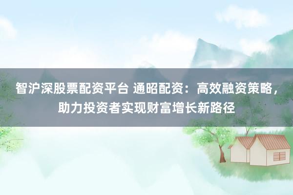智沪深股票配资平台 通昭配资：高效融资策略，助力投资者实现财富增长新路径