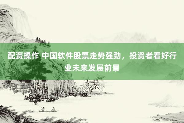 配资操作 中国软件股票走势强劲，投资者看好行业未来发展前景