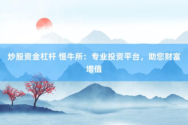 炒股资金杠杆 恒牛所:专业投资平台,助您财富增值