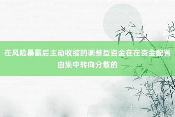 在风险暴露后主动收缩的调整型资金在在资金配置由集中转向分散的