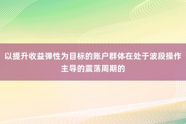 以提升收益弹性为目标的账户群体在处于波段操作主导的震荡周期的