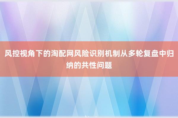 风控视角下的淘配网风险识别机制从多轮复盘中归纳的共性问题