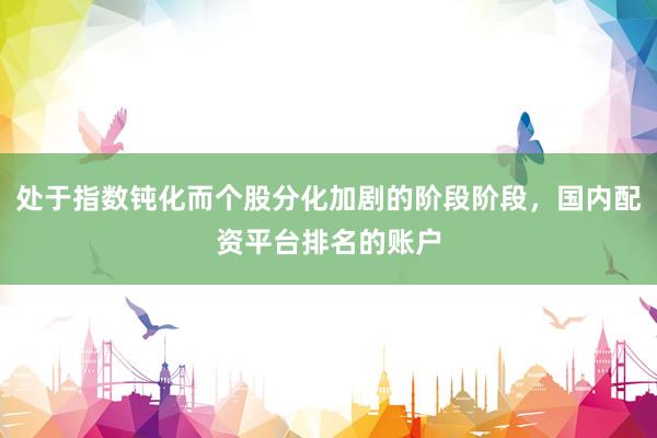 处于指数钝化而个股分化加剧的阶段阶段，国内配资平台排名的账户