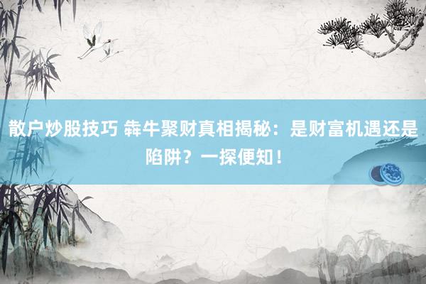 散户炒股技巧 犇牛聚财真相揭秘：是财富机遇还是陷阱？一探便知！