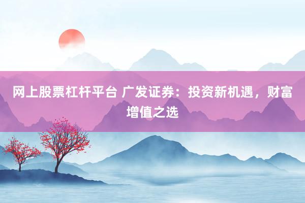网上股票杠杆平台 广发证券：投资新机遇，财富增值之选