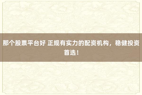 那个股票平台好 正规有实力的配资机构，稳健投资首选！
